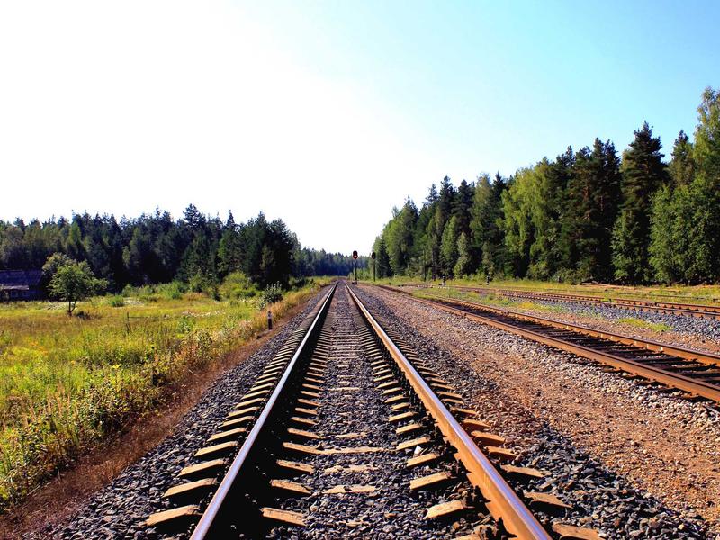 跨境支付<br>Stripe/PayPal 收款防封号
